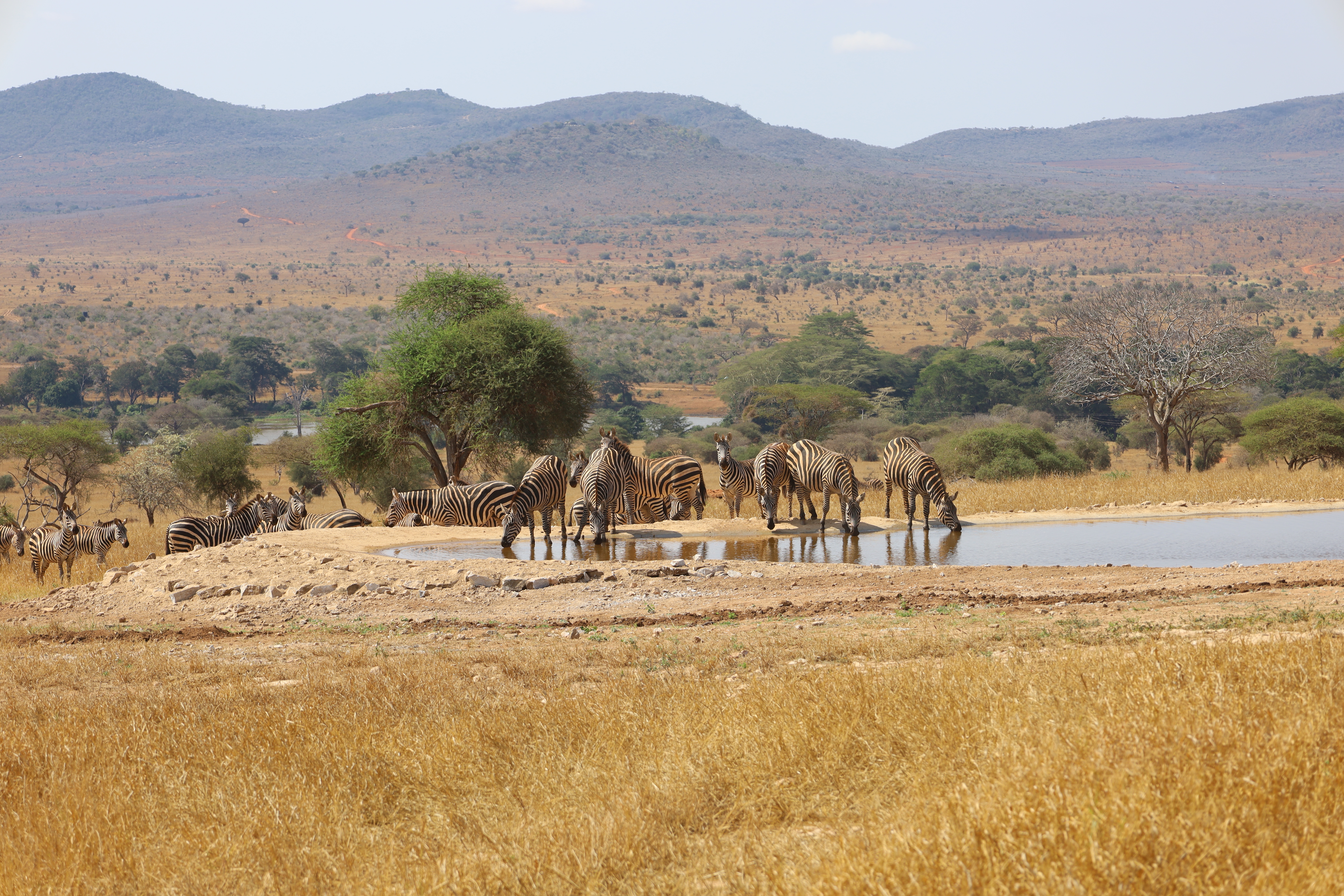 Privatrundreise Taita Hills & Tsavo East -  3 Nächte Safari